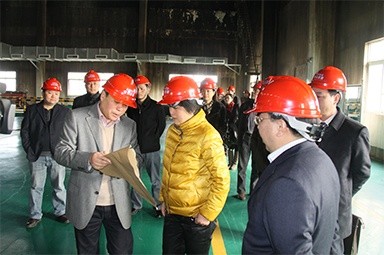 2012年1月31日，时任嘉兴市委书记鲁俊携带市发改委等市级部门掌管人到公司调研