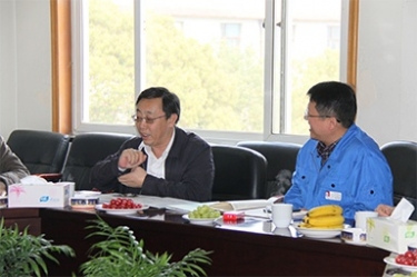 2013年3月18日，时任国度工信部节能司副司长杨铁生一行光临公司参观领导